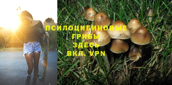 дживик Алзамай